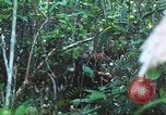 Image of United States soldiers South Vietnam, 1967, second 51 stock footage video 65675062021