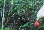 Image of United States soldiers South Vietnam, 1967, second 52 stock footage video 65675062021