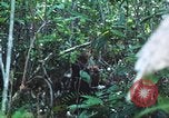 Image of United States soldiers South Vietnam, 1967, second 53 stock footage video 65675062021