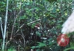 Image of United States soldiers South Vietnam, 1967, second 54 stock footage video 65675062021