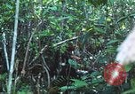 Image of United States soldiers South Vietnam, 1967, second 55 stock footage video 65675062021