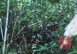 Image of United States soldiers South Vietnam, 1967, second 56 stock footage video 65675062021