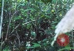 Image of United States soldiers South Vietnam, 1967, second 58 stock footage video 65675062021