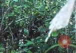 Image of United States soldiers South Vietnam, 1967, second 61 stock footage video 65675062021