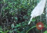 Image of United States soldiers South Vietnam, 1967, second 62 stock footage video 65675062021