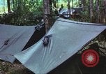 Immagine di Soldati statunitensi Vietnam del Sud, 1967, secondo 11 filmato di repertorio 65675062022