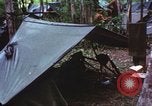 Immagine di Soldati statunitensi Vietnam del Sud, 1967, secondo 13 filmato di repertorio 65675062022