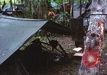 Immagine di Soldati statunitensi Vietnam del Sud, 1967, secondo 14 filmato di repertorio 65675062022