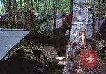 Immagine di Soldati statunitensi Vietnam del Sud, 1967, secondo 16 filmato di repertorio 65675062022