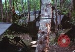 Immagine di Soldati statunitensi Vietnam del Sud, 1967, secondo 17 filmato di repertorio 65675062022