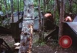 Immagine di Soldati statunitensi Vietnam del Sud, 1967, secondo 19 filmato di repertorio 65675062022