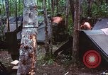 Immagine di Soldati statunitensi Vietnam del Sud, 1967, secondo 20 filmato di repertorio 65675062022