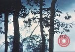 Image of United States soldiers South Vietnam, 1967, second 30 stock footage video 65675062023
