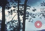 Image of United States soldiers South Vietnam, 1967, second 31 stock footage video 65675062023