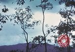 Image of United States soldiers South Vietnam, 1967, second 36 stock footage video 65675062023