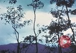 Image of United States soldiers South Vietnam, 1967, second 37 stock footage video 65675062023