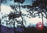 Image of United States soldiers South Vietnam, 1967, second 41 stock footage video 65675062023