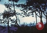 Image of United States soldiers South Vietnam, 1967, second 42 stock footage video 65675062023