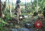 Standbild United States Soldaten South Vietnam, 1967, aus Sekunde 35 historischem Filmmaterial Videoclip 65675062024