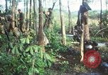 Standbild United States Soldaten South Vietnam, 1967, aus Sekunde 40 historischem Filmmaterial Videoclip 65675062024
