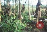 Standbild United States Soldaten South Vietnam, 1967, aus Sekunde 41 historischem Filmmaterial Videoclip 65675062024