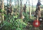 Standbild United States Soldaten South Vietnam, 1967, aus Sekunde 42 historischem Filmmaterial Videoclip 65675062024