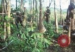 Standbild United States Soldaten South Vietnam, 1967, aus Sekunde 43 historischem Filmmaterial Videoclip 65675062024
