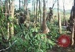 Standbild United States Soldaten South Vietnam, 1967, aus Sekunde 44 historischem Filmmaterial Videoclip 65675062024