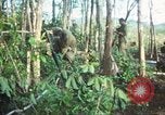 Standbild United States Soldaten South Vietnam, 1967, aus Sekunde 45 historischem Filmmaterial Videoclip 65675062024