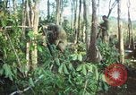 Standbild United States Soldaten South Vietnam, 1967, aus Sekunde 46 historischem Filmmaterial Videoclip 65675062024