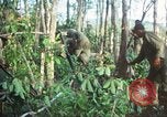 Standbild United States Soldaten South Vietnam, 1967, aus Sekunde 47 historischem Filmmaterial Videoclip 65675062024