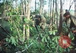 Standbild United States Soldaten South Vietnam, 1967, aus Sekunde 49 historischem Filmmaterial Videoclip 65675062024