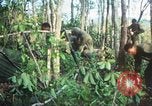 Standbild United States Soldaten South Vietnam, 1967, aus Sekunde 50 historischem Filmmaterial Videoclip 65675062024