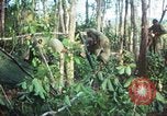 Standbild United States Soldaten South Vietnam, 1967, aus Sekunde 51 historischem Filmmaterial Videoclip 65675062024