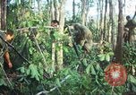 Standbild United States Soldaten South Vietnam, 1967, aus Sekunde 52 historischem Filmmaterial Videoclip 65675062024
