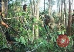 Standbild United States Soldaten South Vietnam, 1967, aus Sekunde 53 historischem Filmmaterial Videoclip 65675062024