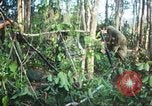 Standbild United States Soldaten South Vietnam, 1967, aus Sekunde 55 historischem Filmmaterial Videoclip 65675062024