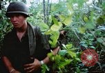 Image États-unis les soldats de la 4e Division d'infanterie Le Vietnam du Sud, 1967, de la seconde 39 séquences d'archives historiques vidéo 65675062025