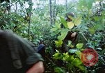 Image États-unis les soldats de la 4e Division d'infanterie Le Vietnam du Sud, 1967, de la seconde 40 séquences d'archives historiques vidéo 65675062025