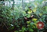 Image États-unis les soldats de la 4e Division d'infanterie Le Vietnam du Sud, 1967, de la seconde 41 séquences d'archives historiques vidéo 65675062025