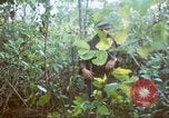 Image États-unis les soldats de la 4e Division d'infanterie Le Vietnam du Sud, 1967, de la seconde 42 séquences d'archives historiques vidéo 65675062025