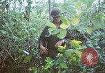 Image États-unis les soldats de la 4e Division d'infanterie Le Vietnam du Sud, 1967, de la seconde 43 séquences d'archives historiques vidéo 65675062025