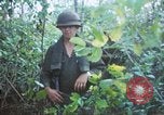Image États-unis les soldats de la 4e Division d'infanterie Le Vietnam du Sud, 1967, de la seconde 44 séquences d'archives historiques vidéo 65675062025