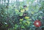 Image États-unis les soldats de la 4e Division d'infanterie Le Vietnam du Sud, 1967, de la seconde 47 séquences d'archives historiques vidéo 65675062025