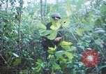 Image États-unis les soldats de la 4e Division d'infanterie Le Vietnam du Sud, 1967, de la seconde 48 séquences d'archives historiques vidéo 65675062025