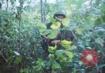 Image États-unis les soldats de la 4e Division d'infanterie Le Vietnam du Sud, 1967, de la seconde 49 séquences d'archives historiques vidéo 65675062025
