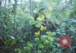 Image États-unis les soldats de la 4e Division d'infanterie Le Vietnam du Sud, 1967, de la seconde 55 séquences d'archives historiques vidéo 65675062025