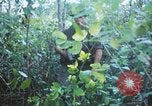 Image États-unis les soldats de la 4e Division d'infanterie Le Vietnam du Sud, 1967, de la seconde 57 séquences d'archives historiques vidéo 65675062025