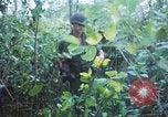 Image États-unis les soldats de la 4e Division d'infanterie Le Vietnam du Sud, 1967, de la seconde 60 séquences d'archives historiques vidéo 65675062025