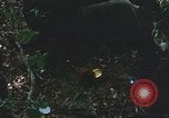 Image of United States soldiers South Vietnam, 1967, second 6 stock footage video 65675062026